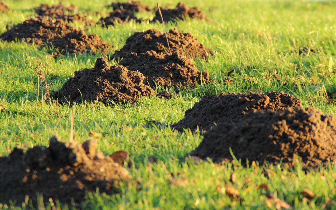 Raus aus mei­nem Garten!